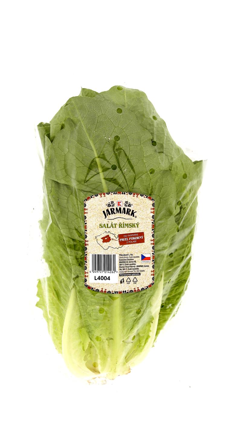 Salát římský
