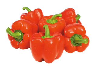 Červená paprika