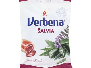 Verbena