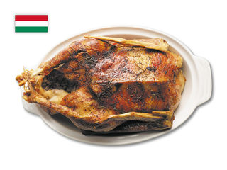 Kačica