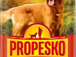 obrázek Granule pro psy
