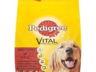 Granule pre psy Pedigree