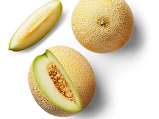 Melón Gália