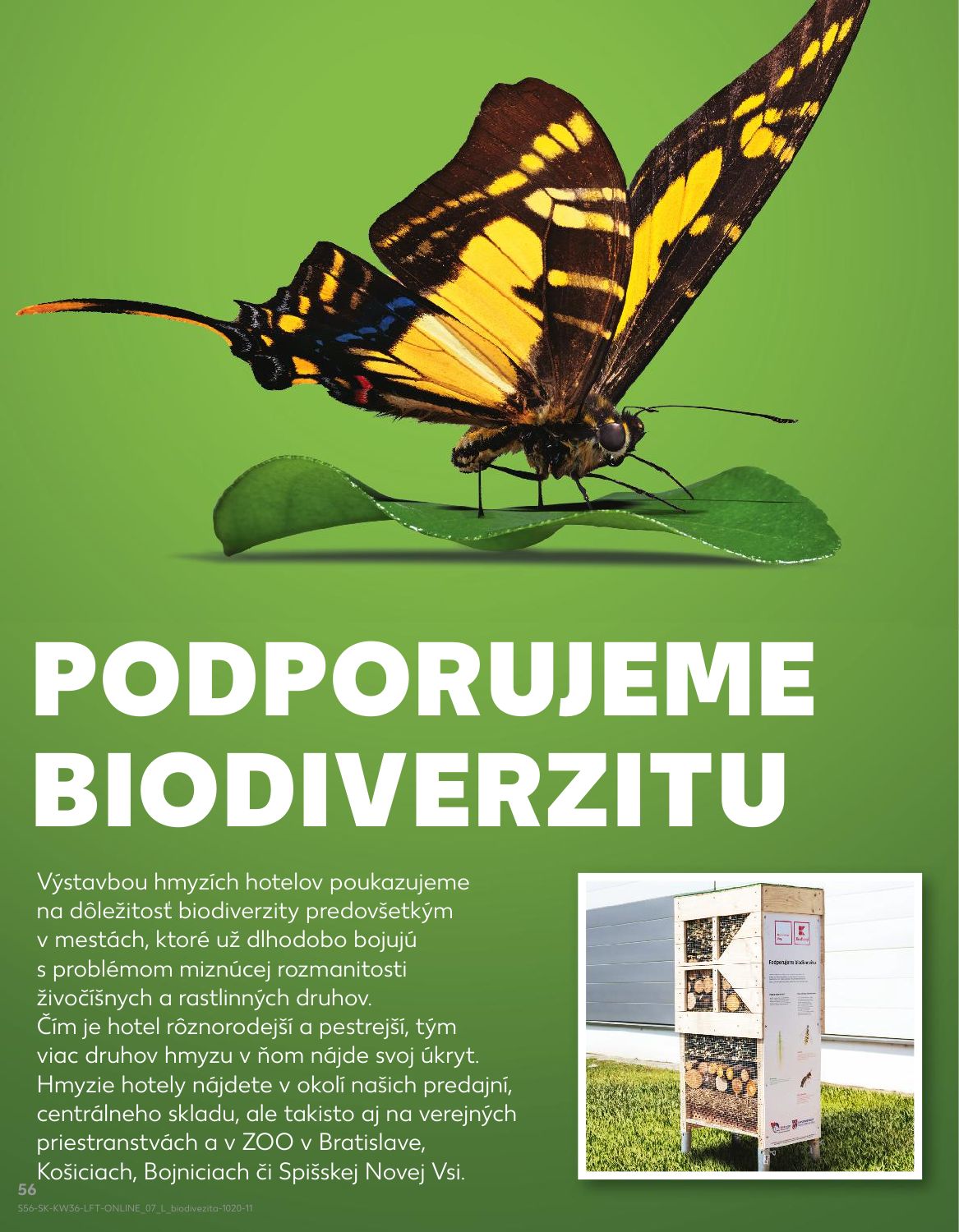 Kaufland