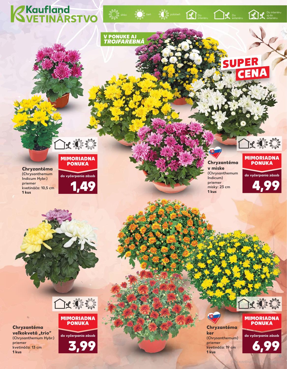 Kaufland